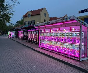 lesna-3.jpg